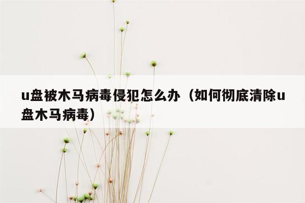 u盘被木马病毒侵犯怎么办（如何彻底清除u盘木马病毒）