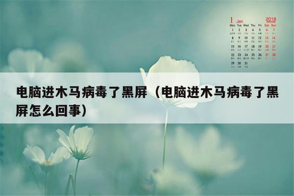 电脑进木马病毒了黑屏（电脑进木马病毒了黑屏怎么回事）