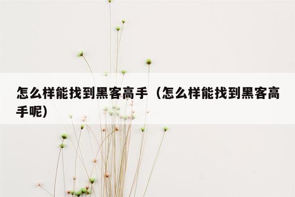 怎么样能找到黑客高手（怎么样能找到黑客高手呢）