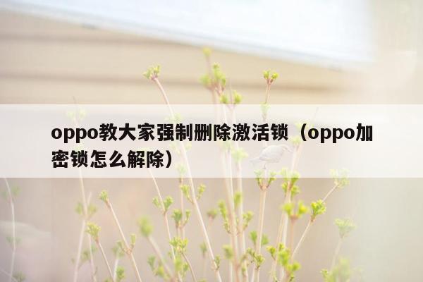 oppo教大家强制删除激活锁（oppo加密锁怎么解除）