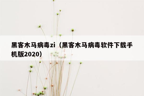 黑客木马病毒zi（黑客木马病毒软件下载手机版2020）