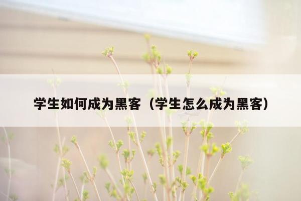 学生如何成为黑客（学生怎么成为黑客）