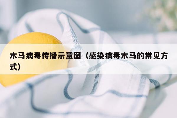 木马病毒传播示意图（感染病毒木马的常见方式）