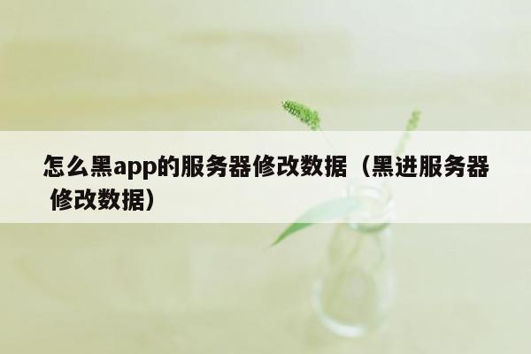 怎么黑app的服务器修改数据（黑进服务器 修改数据）