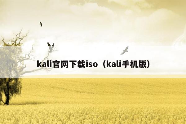 kali官网下载iso（kali手机版）