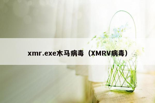 xmr.exe木马病毒（XMRV病毒）