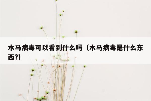 木马病毒可以看到什么吗（木马病毒是什么东西?）