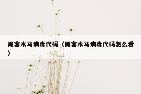 黑客木马病毒代码（黑客木马病毒代码怎么看）