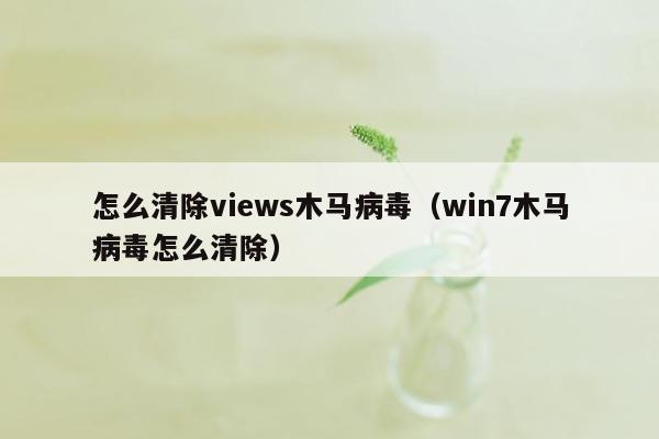 怎么清除views木马病毒（win7木马病毒怎么清除）