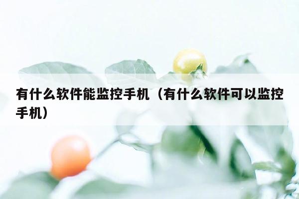 有什么软件能监控手机（有什么软件可以监控手机）