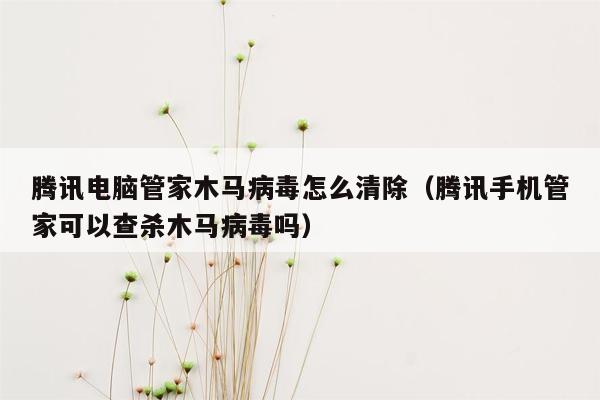 腾讯电脑管家木马病毒怎么清除（腾讯手机管家可以查杀木马病毒吗）