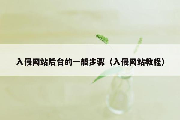 入侵网站后台的一般步骤（入侵网站教程）