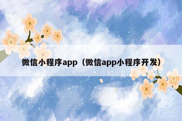 微信小程序app（微信app小程序开发）