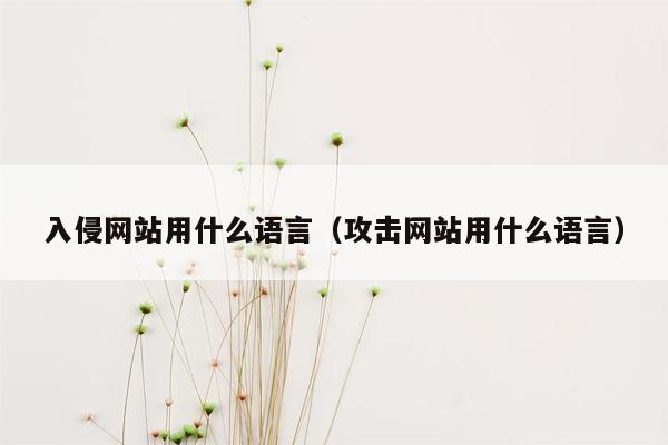 入侵网站用什么语言（攻击网站用什么语言）