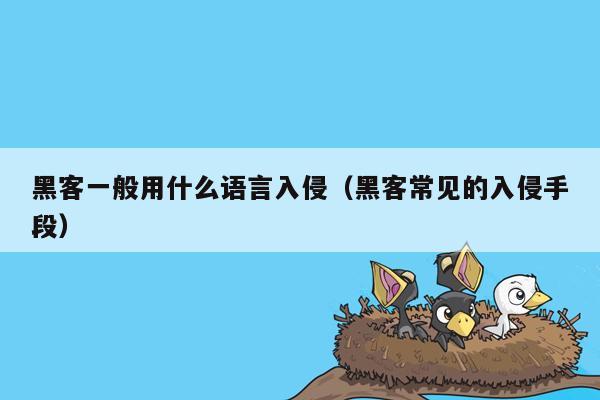 黑客一般用什么语言入侵（黑客常见的入侵手段）