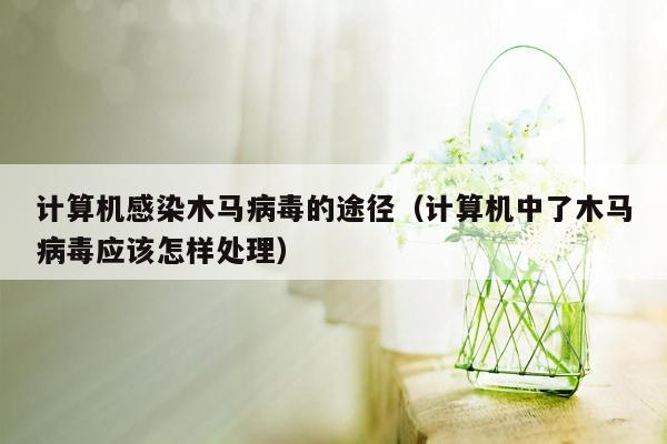 计算机感染木马病毒的途径（计算机中了木马病毒应该怎样处理）