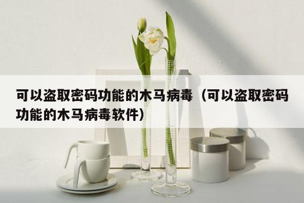 可以盗取密码功能的木马病毒（可以盗取密码功能的木马病毒软件）