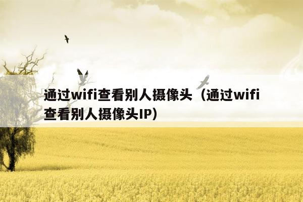 通过wifi查看别人摄像头（通过wifi查看别人摄像头IP）