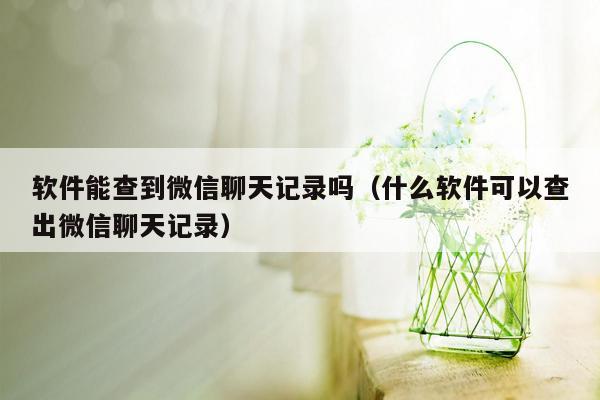 软件能查到微信聊天记录吗（什么软件可以查出微信聊天记录）