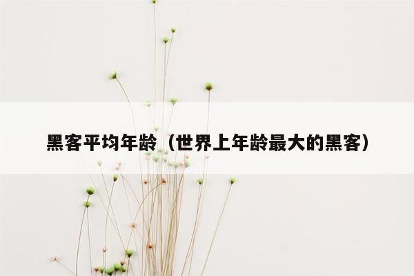 黑客平均年龄（世界上年龄最大的黑客）