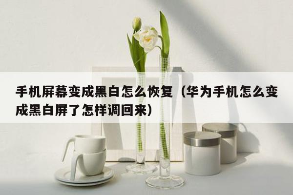 手机屏幕变成黑白怎么恢复（华为手机怎么变成黑白屏了怎样调回来）