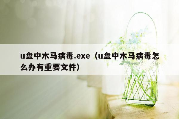 u盘中木马病毒.exe（u盘中木马病毒怎么办有重要文件）