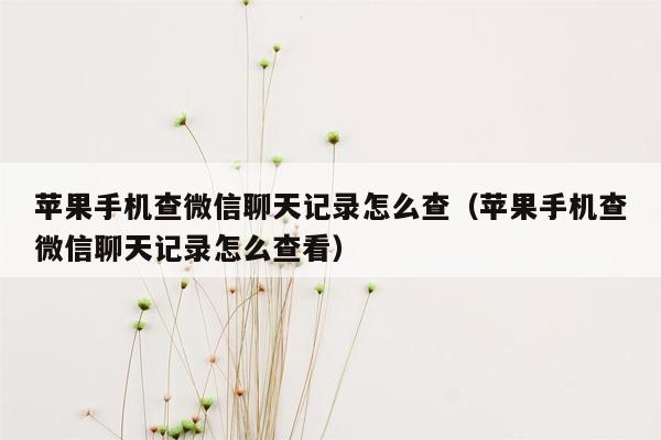 苹果手机查微信聊天记录怎么查（苹果手机查微信聊天记录怎么查看）