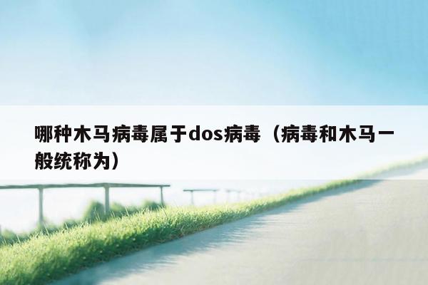 哪种木马病毒属于dos病毒（病毒和木马一般统称为）