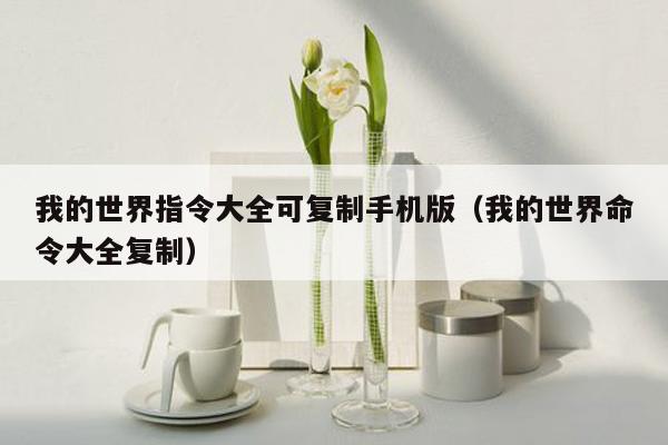 我的世界指令大全可复制手机版（我的世界命令大全复制）