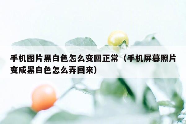 手机图片黑白色怎么变回正常（手机屏幕照片变成黑白色怎么弄回来）