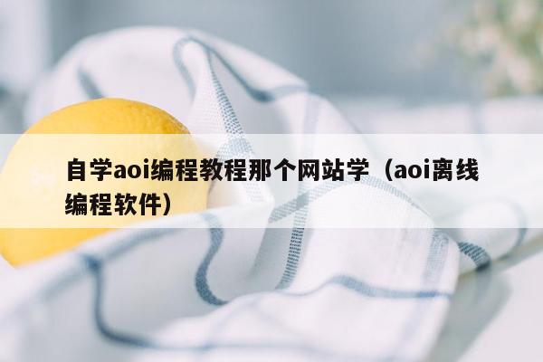 自学aoi编程教程那个网站学（aoi离线编程软件）