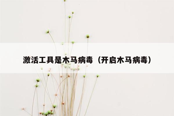 激活工具是木马病毒（开启木马病毒）