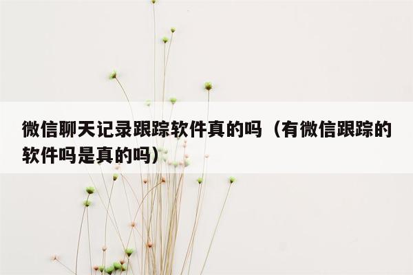 微信聊天记录跟踪软件真的吗（有微信跟踪的软件吗是真的吗）