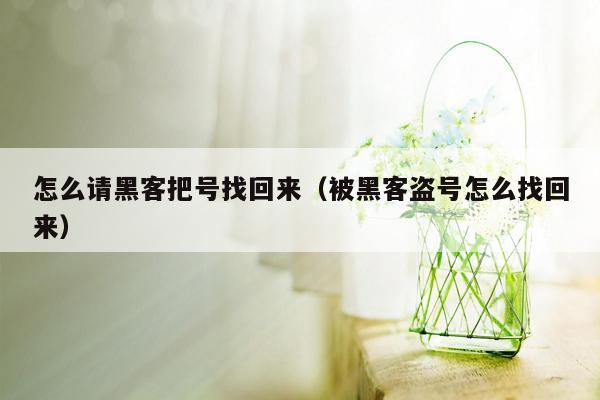 怎么请黑客把号找回来（被黑客盗号怎么找回来）