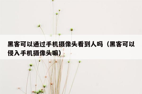 黑客可以通过手机摄像头看到人吗（黑客可以侵入手机摄像头嘛）