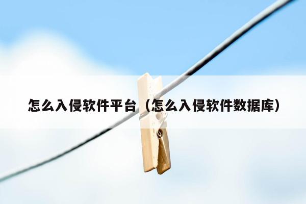 怎么入侵软件平台（怎么入侵软件数据库）