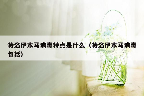 特洛伊木马病毒特点是什么（特洛伊木马病毒包括）