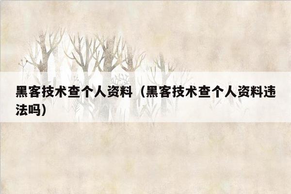 黑客技术查个人资料（黑客技术查个人资料违法吗）