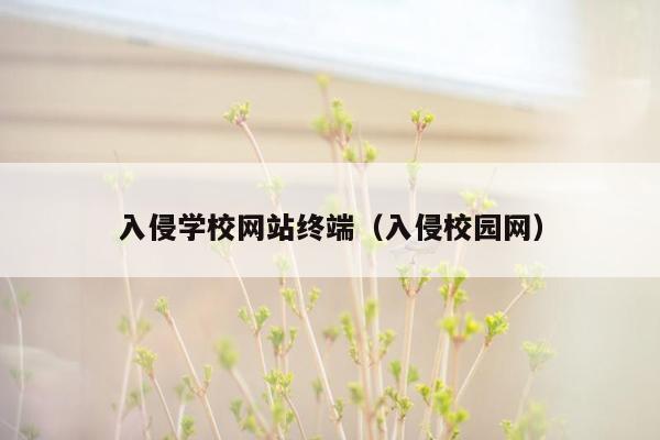 入侵学校网站终端（入侵校园网）