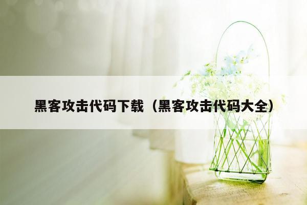 黑客攻击代码下载（黑客攻击代码大全）