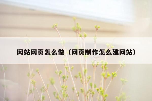 网站网页怎么做（网页制作怎么建网站）