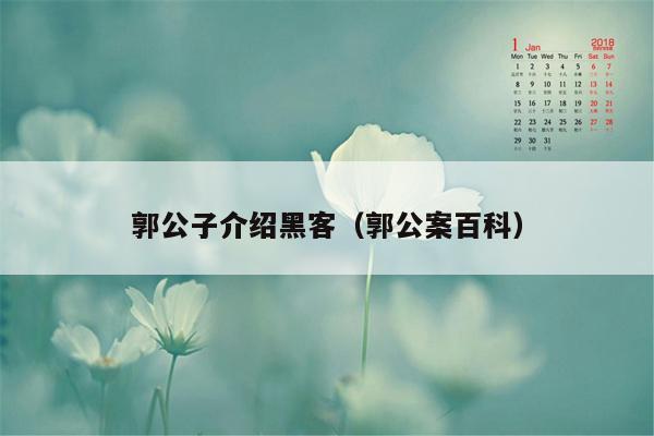 郭公子介绍黑客（郭公案百科）