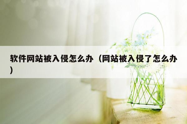 软件网站被入侵怎么办（网站被入侵了怎么办）