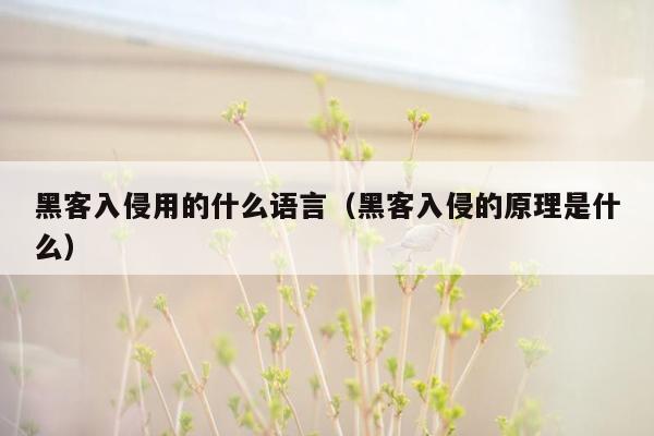 黑客入侵用的什么语言（黑客入侵的原理是什么）