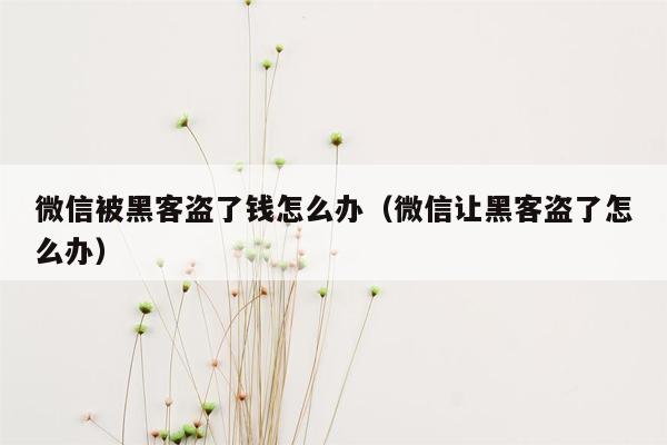 微信被黑客盗了钱怎么办（微信让黑客盗了怎么办）