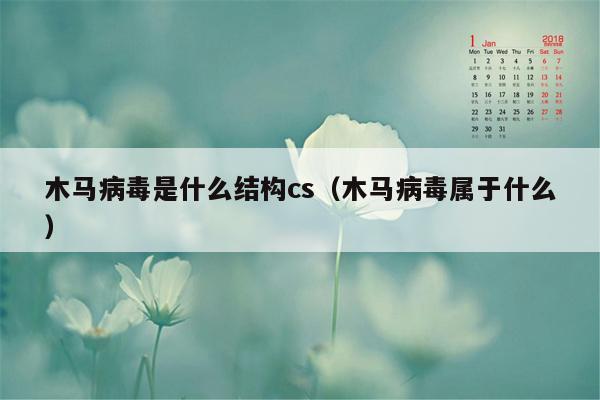 木马病毒是什么结构cs（木马病毒属于什么）