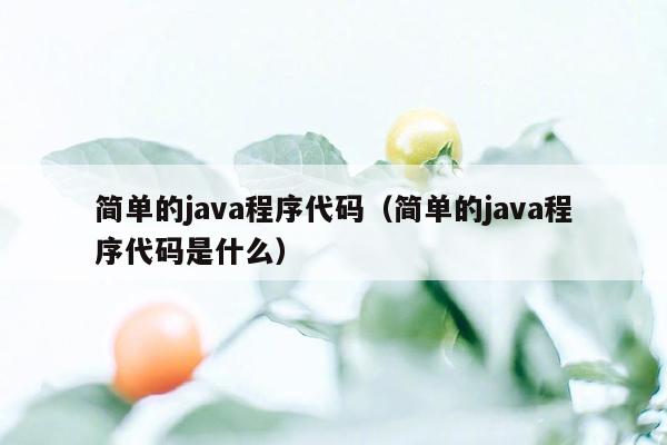 简单的java程序代码（简单的java程序代码是什么）