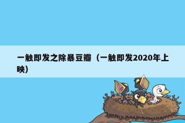 一触即发之除暴豆瓣（一触即发2020年上映）