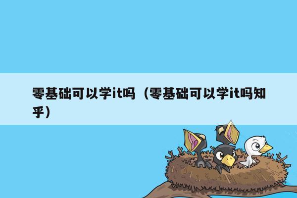 零基础可以学it吗（零基础可以学it吗知乎）