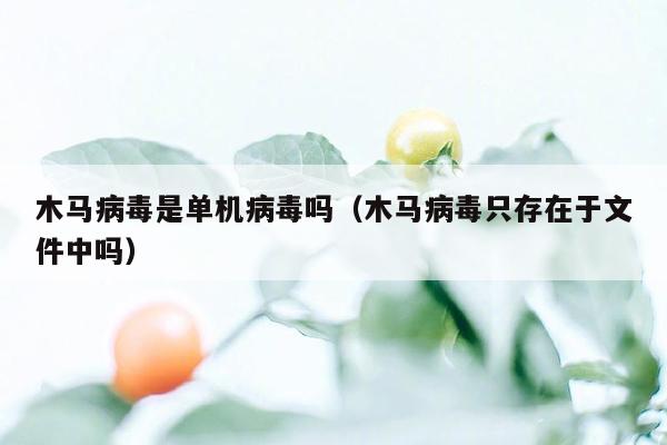 木马病毒是单机病毒吗（木马病毒只存在于文件中吗）